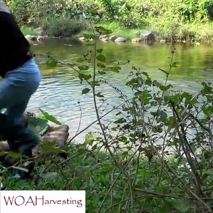 Young Couple Builds Complete Bamboo House from Scratch | DIY Natural Wall Construction