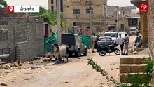 जैसलमेर में भारी मात्रा में एमडी, स्मैक और अफीम का दूध बरामद, दो गिरफ्तार
