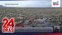 Dagat, tila nawala sa Jose Abad Santos, Davao Occ.; mga lamang-dagat, lumitaw sa pag-angat ng seabed | 24 Oras