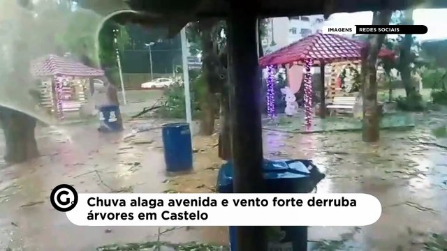 Chuva alaga avenida e vento forte derruba árvores em Castelo