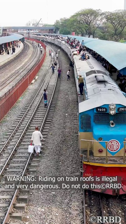 Keep off from train roof! 🚷🚂