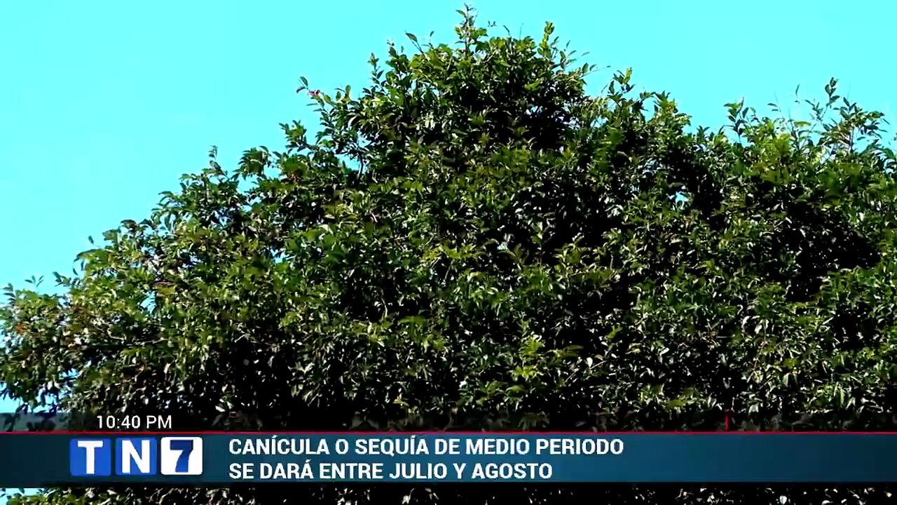 tn7-veranillo-de-san-juan-llegara-con-dias-mas-secos-y-soleados-150626 [Full Movie]