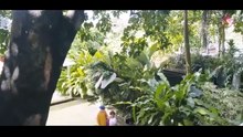 Philippines FULl MOVIESs Thea Denise
