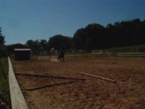 Gizmo à l'obstacle 80cm-90cm-1m !!!