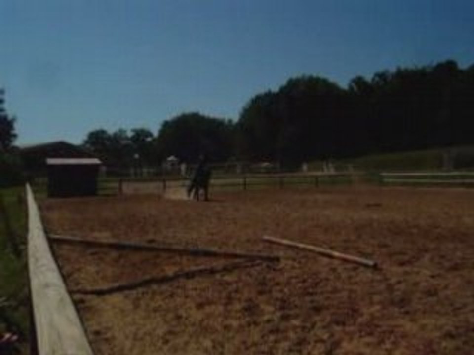 Gizmo à l'obstacle  80cm-90cm-1m !!!