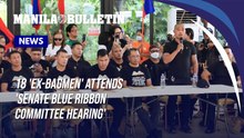 18 'ex-bagmen' attends 'Senate Blue Ribbon Committee Hearing'