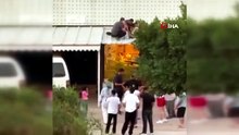 Antalya'da korku dolu anlar! 20 yaşındaki genç kız camdan aşağı uçtu!