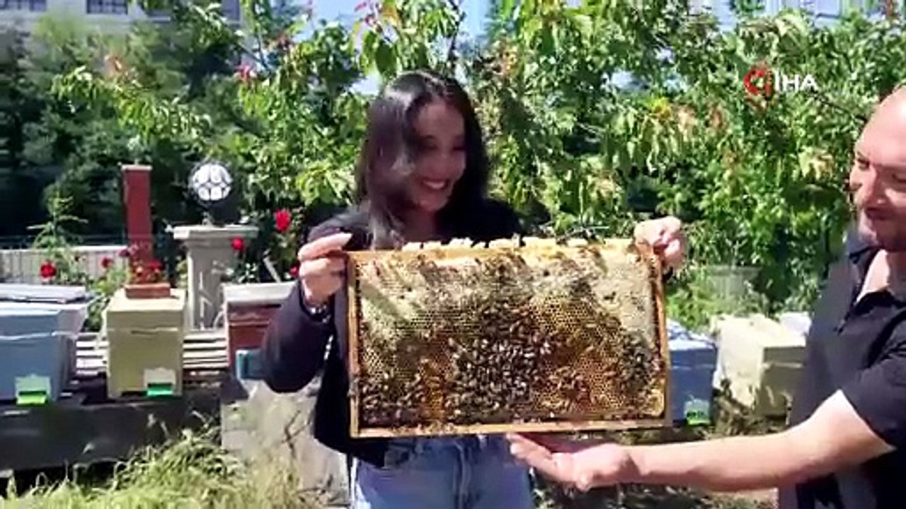 Korkmadan temas edebildiği arılarla 5 senedir birlikte yaşıyor