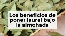 Colocar laurel bajo la almohada
