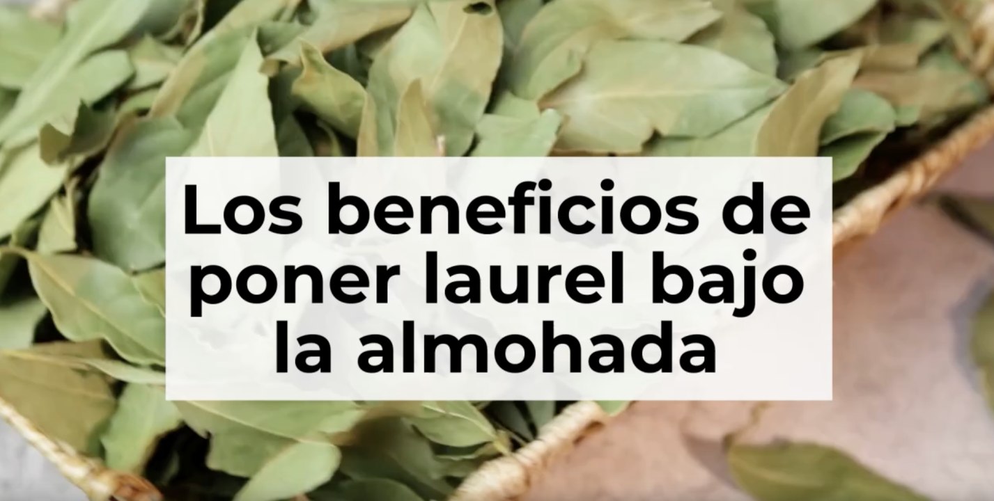 Colocar laurel bajo la almohada