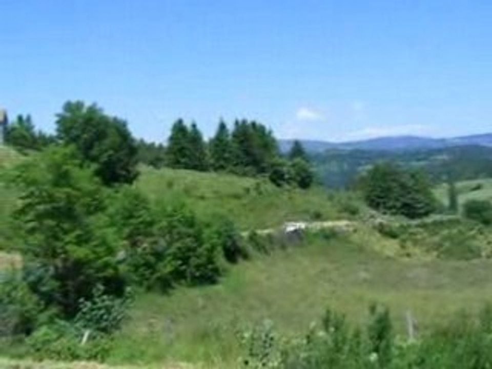 DSCF1030