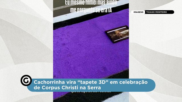 Cachorrinha vira “tapete 3D” em celebração de Corpus Christi na Serra
