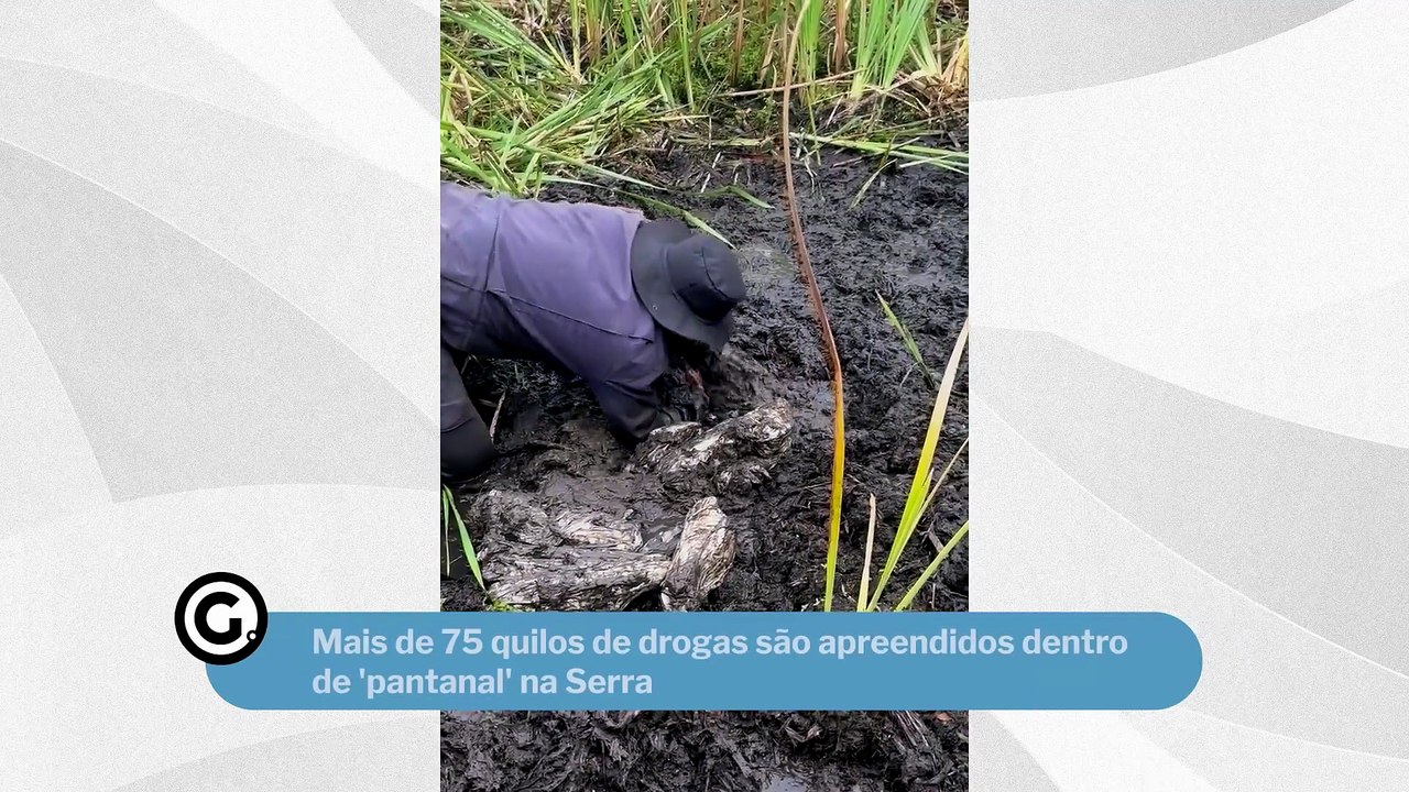 Mais de 75 quilos de drogas são apreendidos dentro de 'pantanal' na Serra