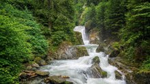 This Austrian Gorge Walk Feels Like a Hidden Escape