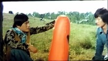 El testamento de Bruce Lee ( The kung fu fever)