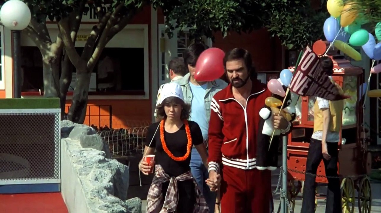 Nobody Is Perfect (1978)