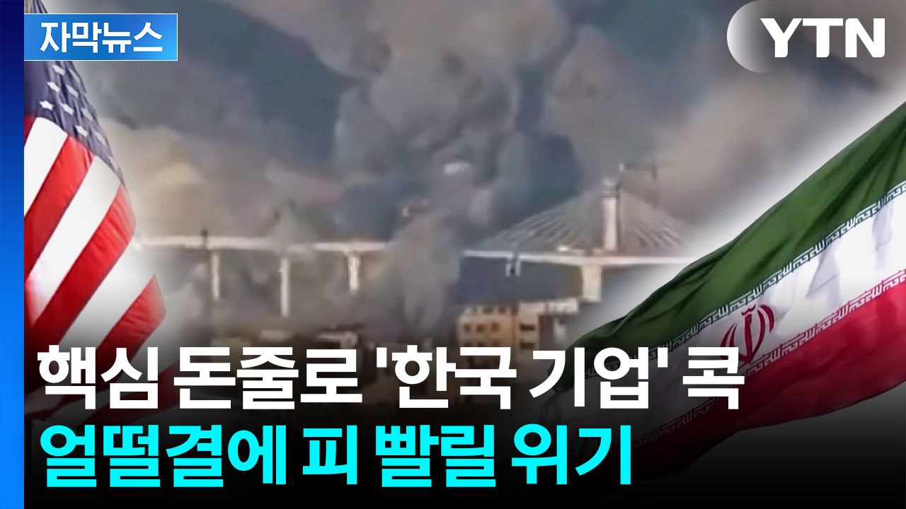 [자막뉴스] 핵심 돈줄로 '한국 기업' 콕...미국 동맹국, 뜯길 위기 / YTN