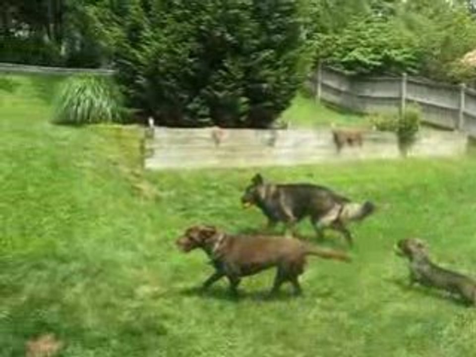 Shergar's Visit - June 2008