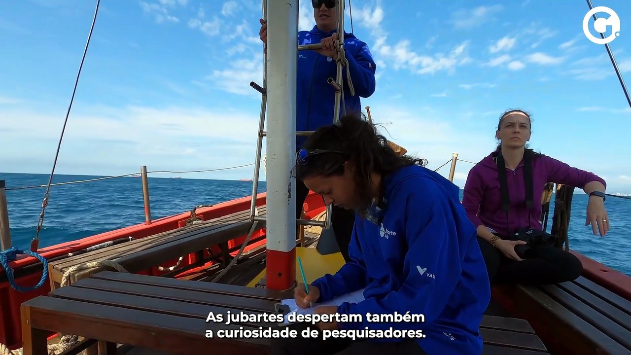 Tesouros Capixabas: Baleia-jubarte vira arte no Espírito Santo