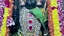 Seeking Blessings at Sri Vembuli Amman Temple 🙏