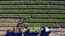 Agricoltura e crisi geopolitiche: uno scenario ridisegnato