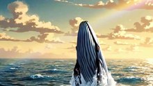 What If All Whales Disappeared?