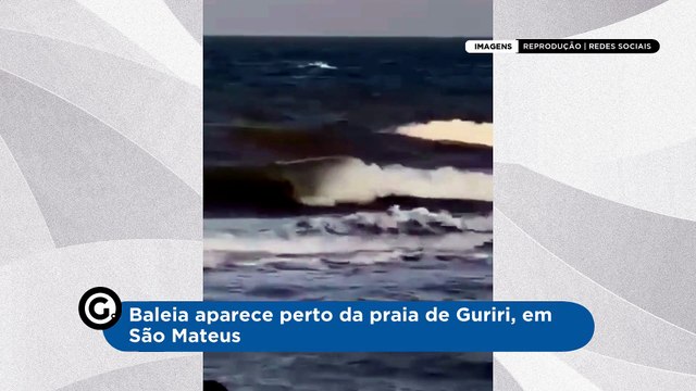 Baleia aparece perto da praia de Guriri, em São Mateus