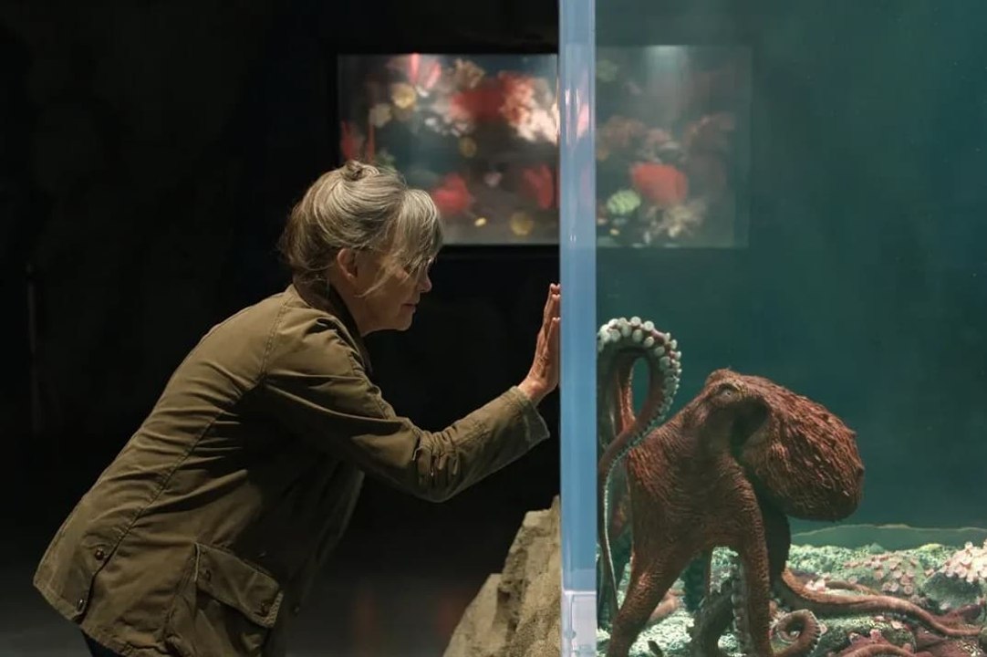Criaturas Luminosas - Tráiler Oficial (Español)