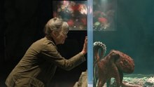 Criaturas Luminosas - Tráiler Oficial (Español)