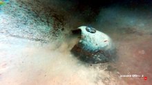 Archeologia subacquea, il video dei reperti recuperati a Lampedusa