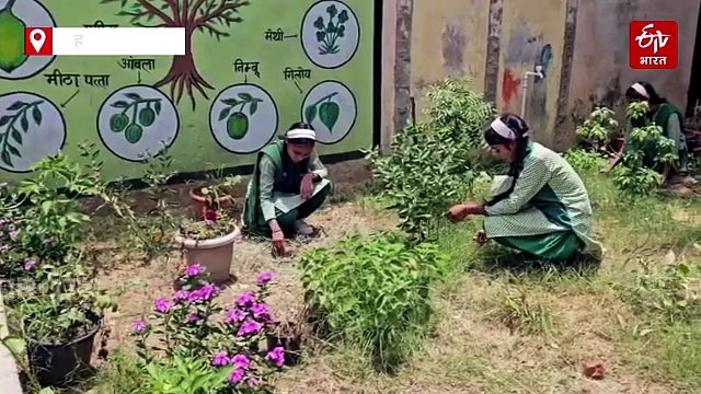 स्वच्छ एवं हरित विद्यालय रेंटिंग में हजारीबाग ने लहराया परचम, राष्ट्रीय रेटिंग में मिला 21वां स्थान, झारखंड में दूसरा