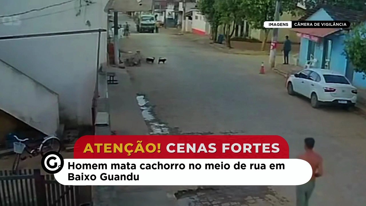 Homem mata cachorro no meio de rua em Baixo Guandu
