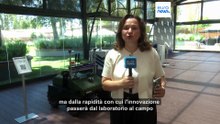 Le notizie del giorno | 16 giugno 2026 - Pomeridiane