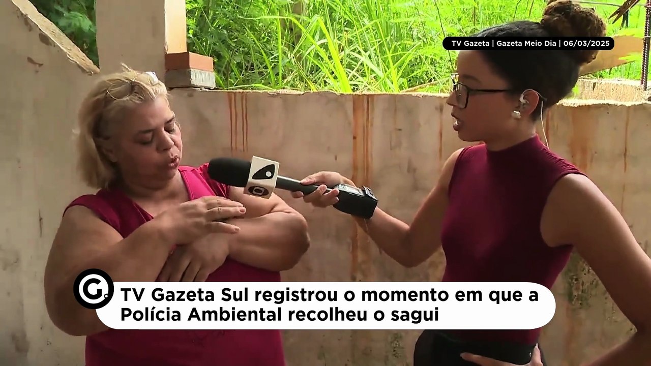 TV Gazeta Sul registrou o momento em que a Polícia Ambiental recolheu o sagui.