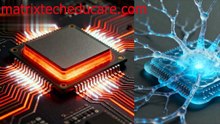 Flesh, Fluids & Firmware: How Biocomputers End the Silicon Age