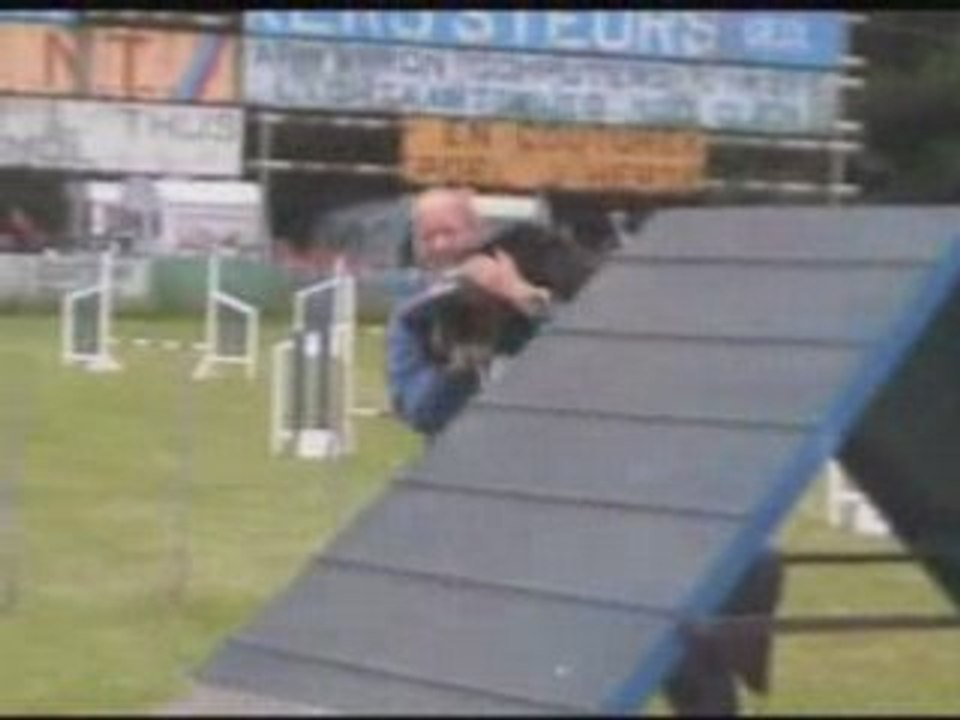 Concours belgique 2008