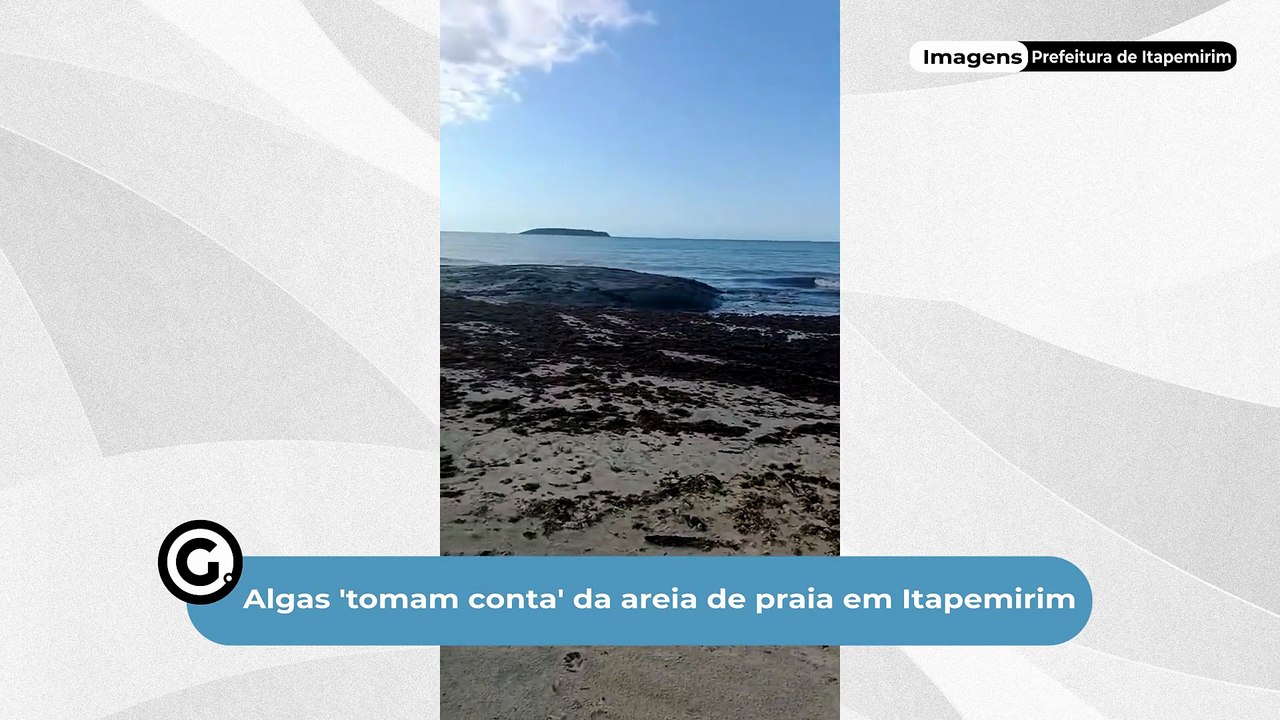 Algas 'tomam conta' da areia de praia em Itapemirim