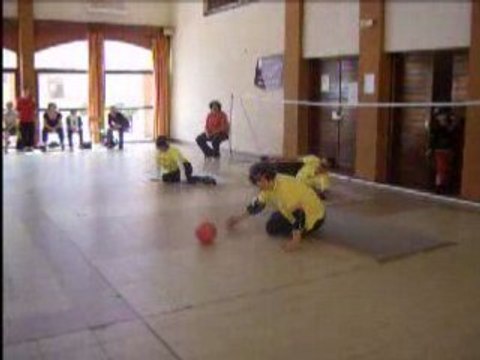 Torball-sport-pour-aveugles-et-mal-voyants-24-05-2008