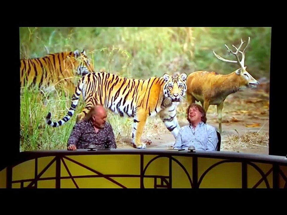 M. Episode 11. Menagerie.