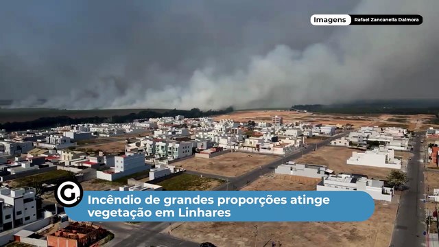 Incêndio de grandes proporções atinge vegetação em Linhares