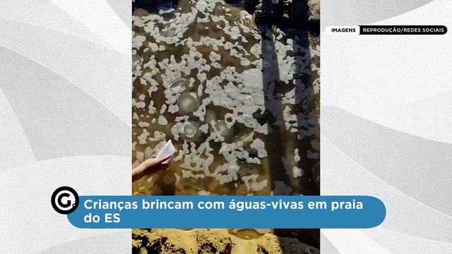 Crianças brincam com águas-vivas em praia do ES