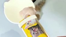 The Cat Treat Squeezer That's Going Viral — Mess-Free, Hands-Free & So Easy! 🐾