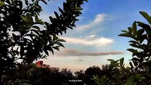 poetry video ❤️‍