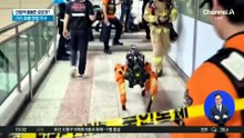 서울 안암역에 로봇개 출동…무슨 일?