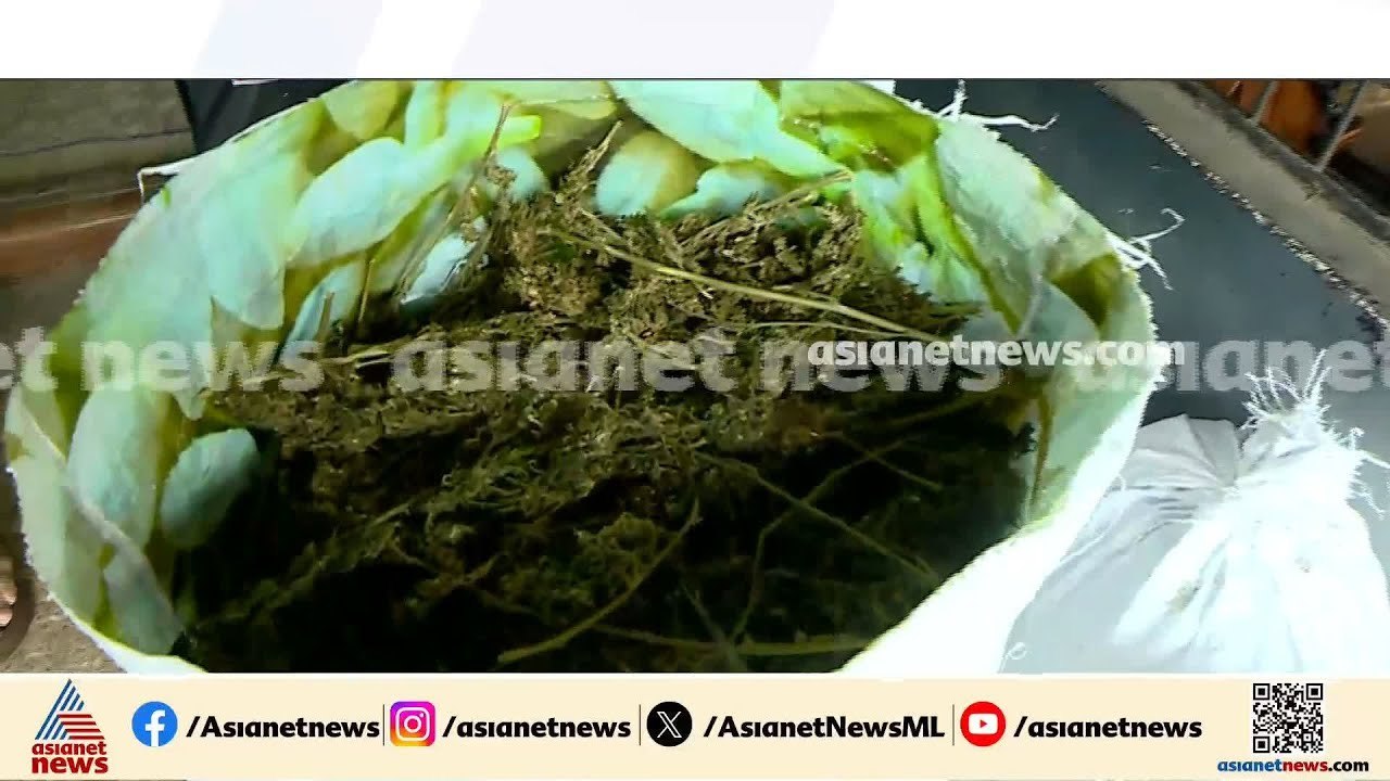 40 കിലോ കഞ്ചാവുമായി കാറിൽ പാഞ്ഞ് യുവാക്കൾ, പൊലീ...