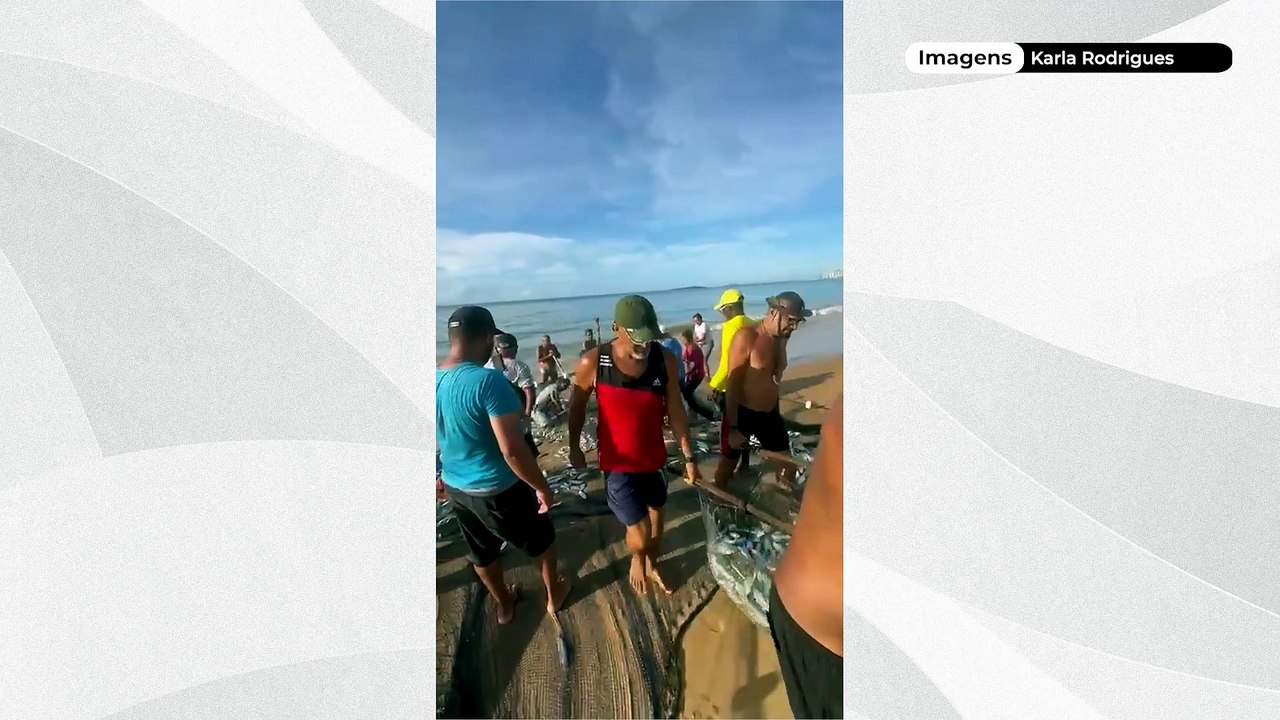 Puxada de rede rende cerca de 800 quilos de sar...