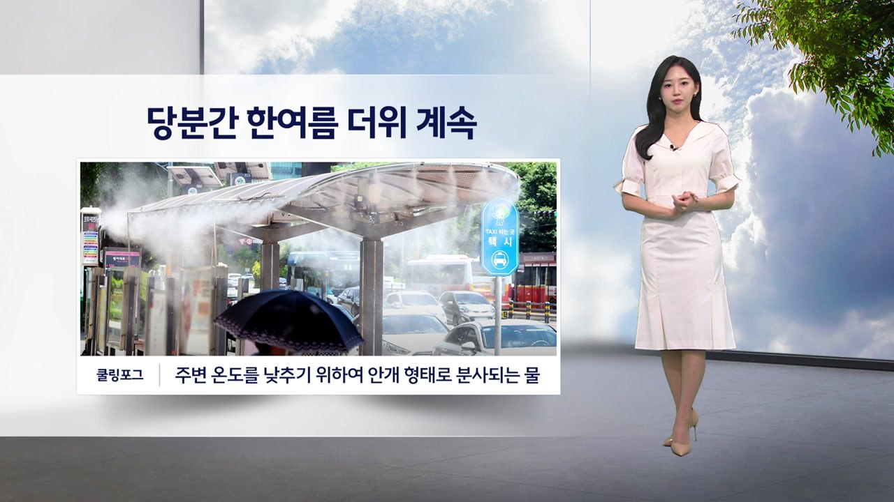 [이슈날씨] 내일도 예년보다 더워...서울·대전·대구 한낮 31도 / YTN