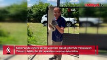 Sakarya’da yılan görünce tek bir isim akıllara geliyor! Çıplak elleriyle yakalayıp doğaya bırakıyor
