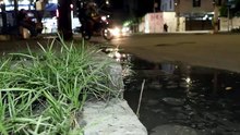 Problemas de Esgoto Persistentes e Impactos na Qualidade de Vida em Boa Viagem, Recife - Buscando Soluções Definitivas