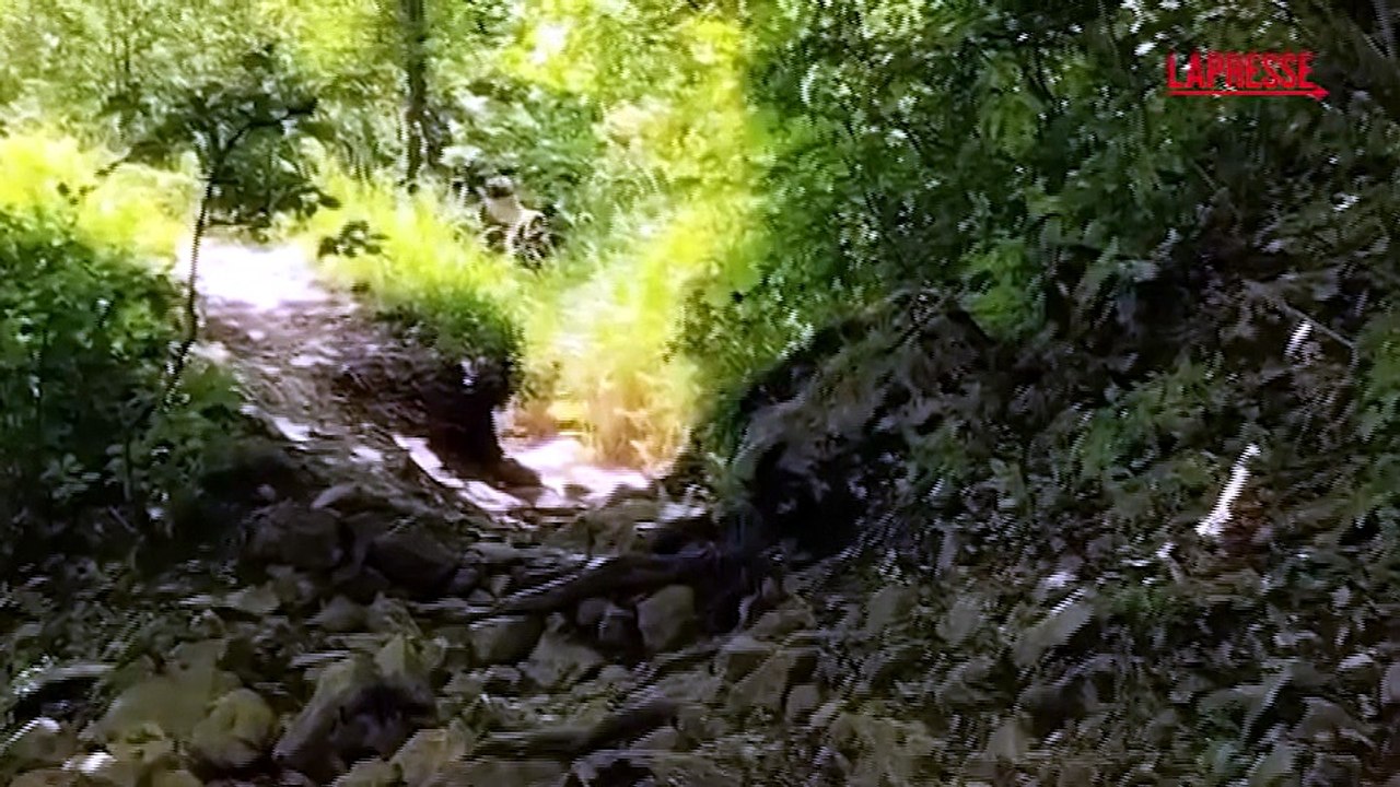 Sorelle scomparse all'Aquila, proseguono le ricerche nel Parco nazionale d'Abruzzo